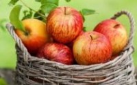 چرا میوه‌های قدیم خوشمزه‌تر بودند؟