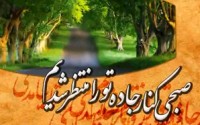 این هفته هم گذشت...