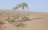 مرحمت فرموده ما را حس کنيد!