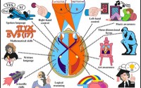 اصطلاحات هوش وحافظه در زبان بلوچی