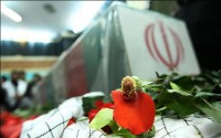 8 سال افتخار