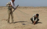 حلقه مویی یا"حلقه مویك"