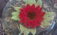 آموزش تصویری درست کردن ژله تزریقی به شکل گل