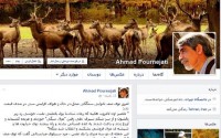 پورنجاتی؛به کجا چنین شتابان