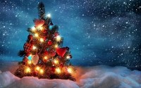 به امید کریسمس ظهور حقیقت
