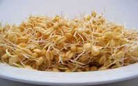 خوردن این خوراکی پوستتان را شاداب می کند