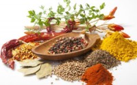 معجونی برای تمام بیماری ها