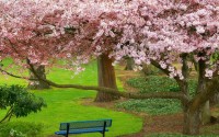 برای تناسب اندام به طبیعت بروید