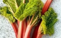 گیاهان شفابخش بهاری