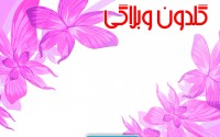 دولت و ملت، همدلی و هم زبانی