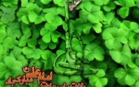 پوستر/ ولادت امام علی (ع)