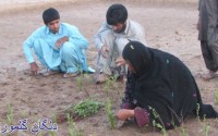 دستان پینه بسته،خسته نباشید
