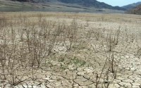 نجات هامون جازموریان دردلگان سیستان وبلوچستان