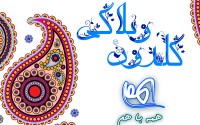 گلدون وبلاگی 127 سیستان و بلوچستان