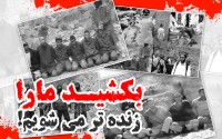 بکشید ما را زنده تر می شویم