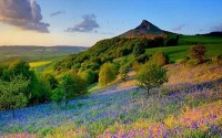 سه درسی که می توان از طبیعت بهار آموخت!